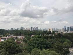 one-robin photo thumbnail #11